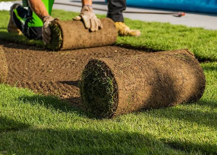 New Sod Services