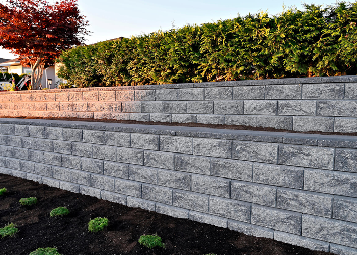 Wall Services